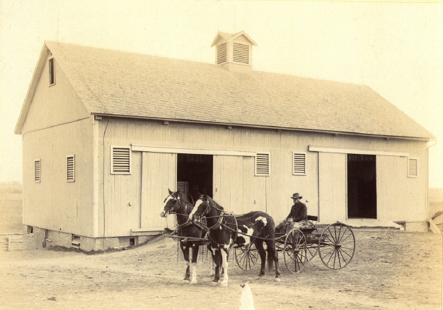 Ben Franklin Searl in buggy